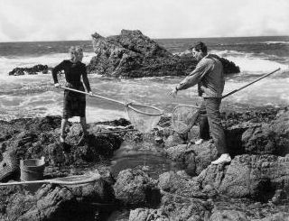 "Desire Me" (1947) Greer Garson en Richard Hart.