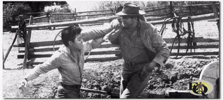 In "Flaming Star" (20th Century-Fox, Dec 16. 1960) Tom got into a fight with Elvis Presley.